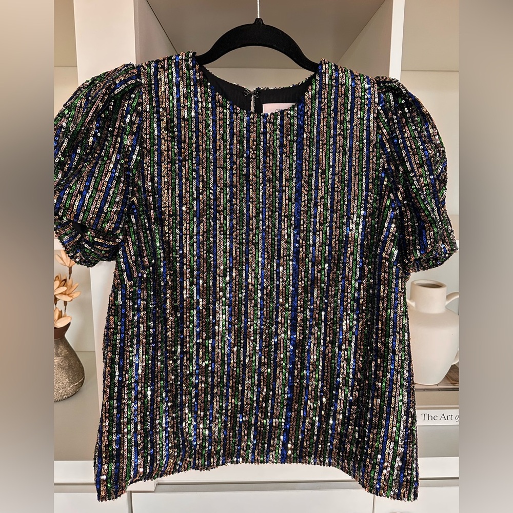 Greylin Collection Gelia Sequins Balloon Sleeve Top NWT